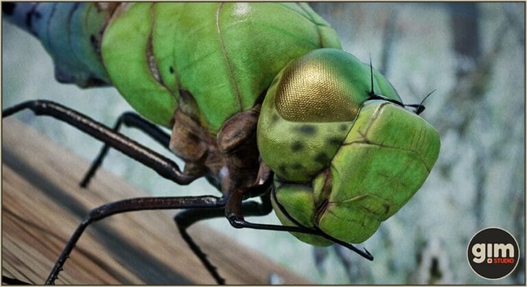 Animalia – Green Darner Dragonfly download