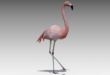Flamingo Animated download
