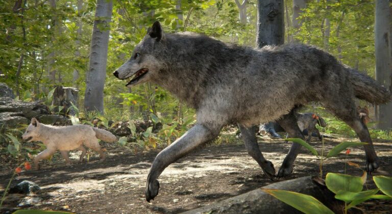 Realistic Wolf download