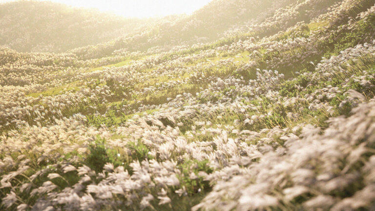 Strong winds – Grasslands download