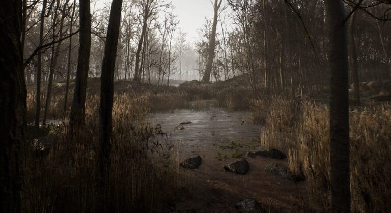 Procedural Forest download