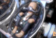 Baby In Capsule download
