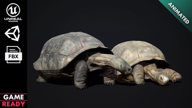 Galapagos Tortoise download