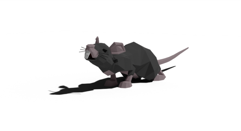 Low Poly Rat download