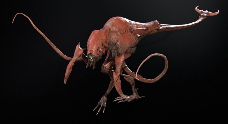 Raptor download