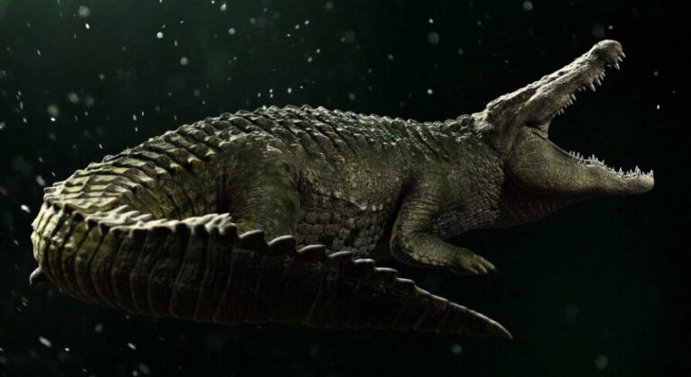 Realistic Crocodile download