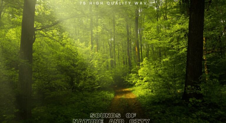 Sound Of Nature and City SFX Pack download