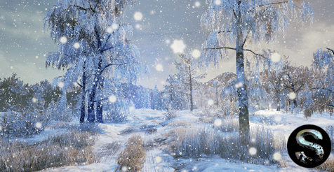 Winter Nature download