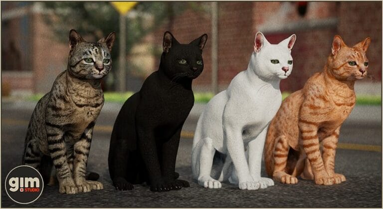 Animalia – Domestic Cat download