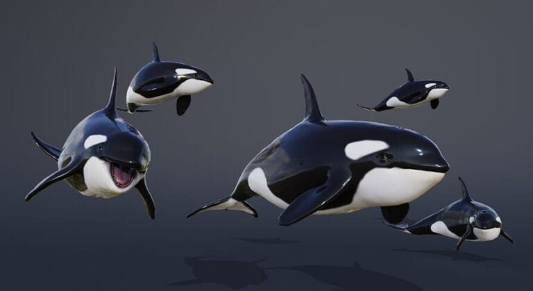 OCEAN LIFE: ORCA download