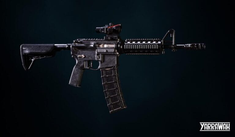 Custom AR-15 Style Rifle download