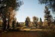 Realistic Autumn Forest Location 2×2 download