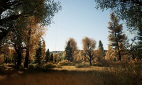 Realistic Autumn Forest Location 2×2 download